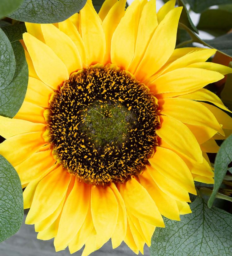 Plow & Hearth articles ménagers Arrangement floral imitation tournesol, citron et eucalyptus dans un pot de fleurs 0BNZ2426