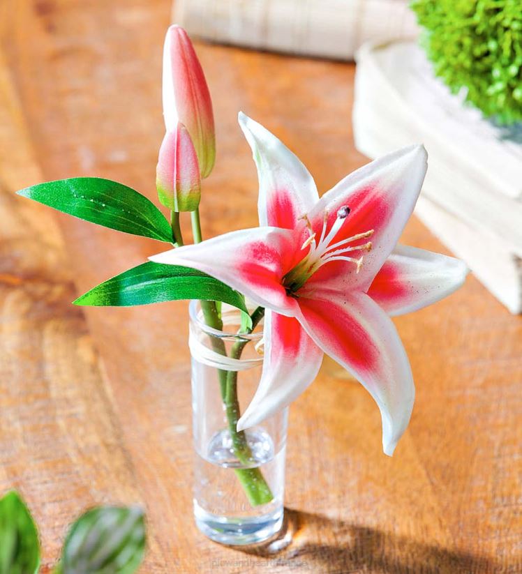 Plow & Hearth articles ménagers aspect réel, sensation de vrais lys stargazer, lot de 3 0BNZ2361