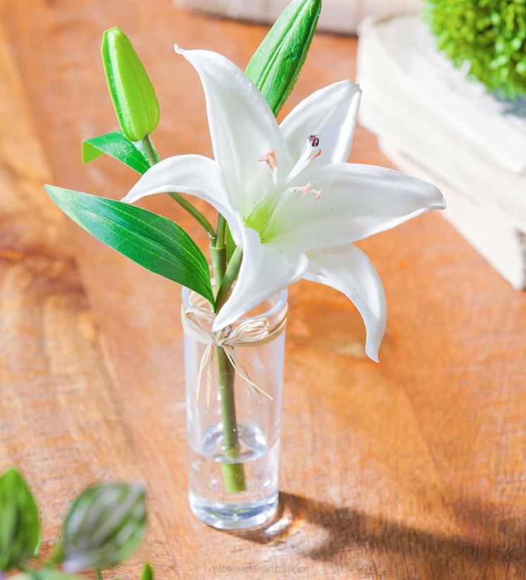 Plow & Hearth articles ménagers aspect réel, sensation de vrais lys stargazer, lot de 3 0BNZ2361