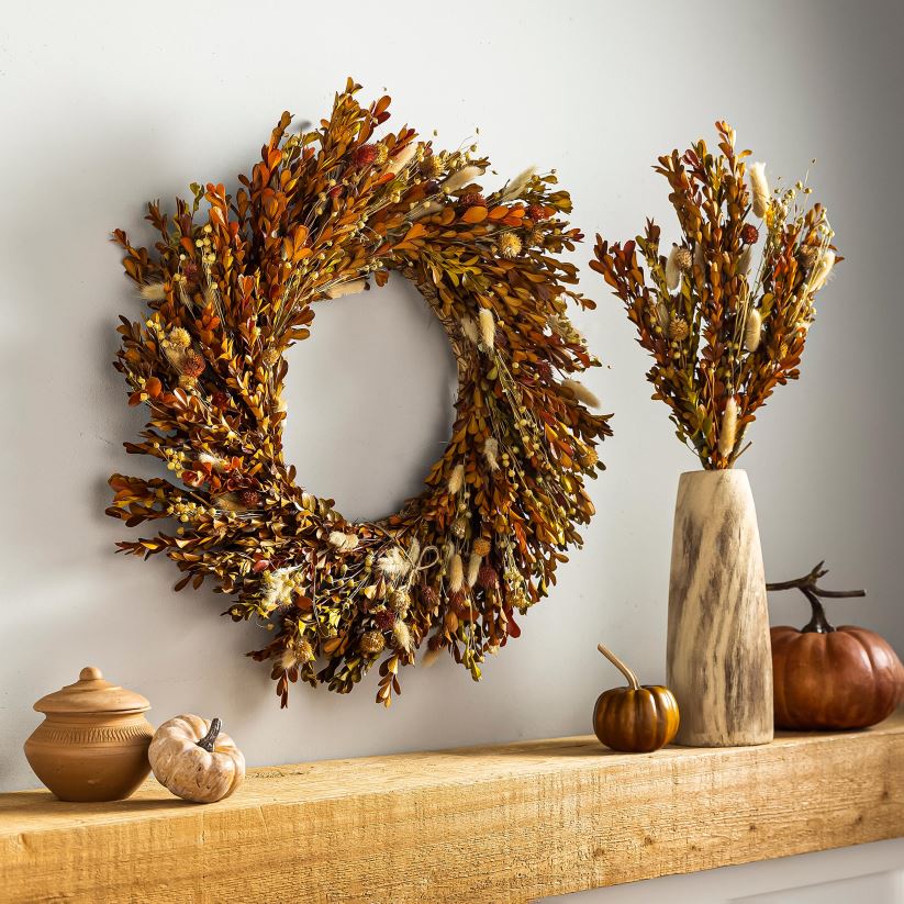 Plow & Hearth articles ménagers branche d'herbe de queue de lapin 0BNZ2372