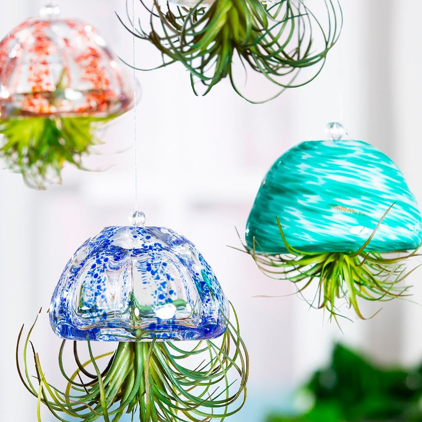 Plow & Hearth articles ménagers décor de plantes à air en verre d'art - sarcelle 0BNZ2340