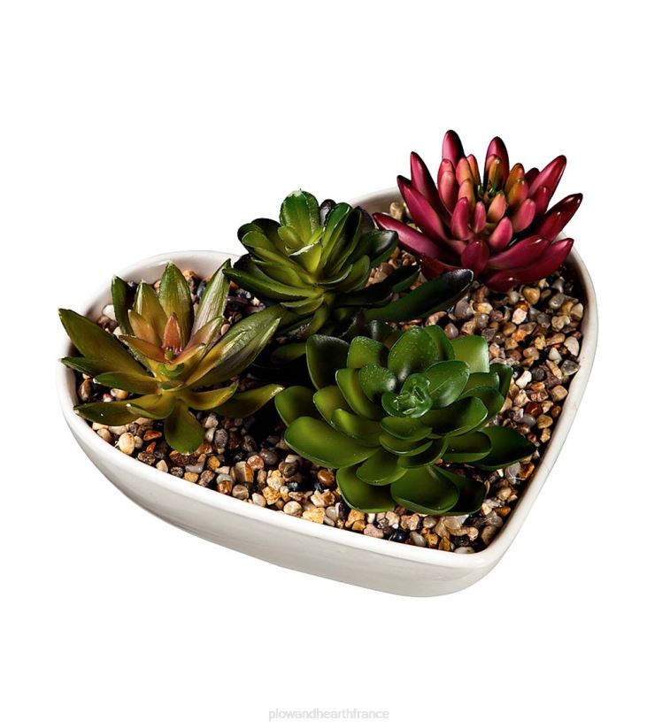 Plow & Hearth articles ménagers décor de table succulente en forme de coeur en céramique 0BNZ2417