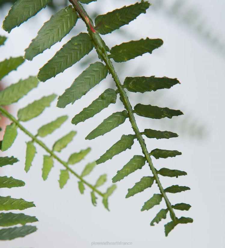 Plow & Hearth articles ménagers fausse vraie fougère artificielle en pot 0BNZ2432