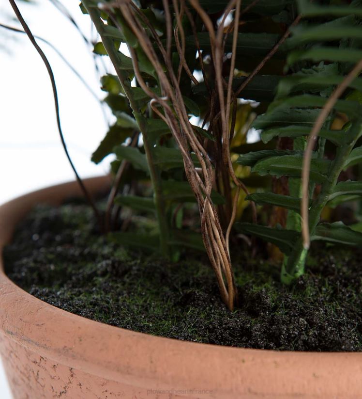 Plow & Hearth articles ménagers fausse vraie fougère artificielle en pot 0BNZ2432