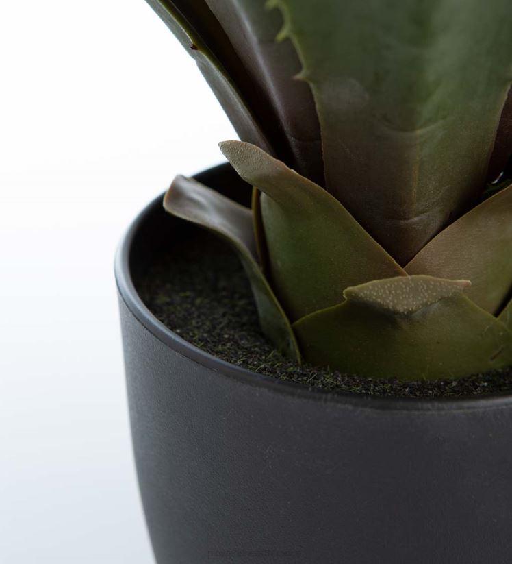 Plow & Hearth articles ménagers fausse vraie plante artificielle en pot d'agave 0BNZ2399