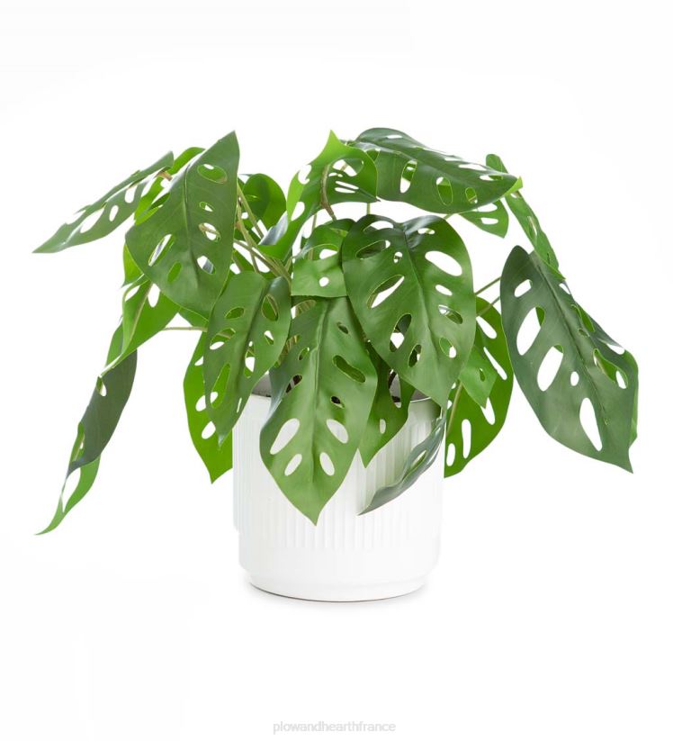 Plow & Hearth articles ménagers fausse vraie plante artificielle en pot monstera 0BNZ2404