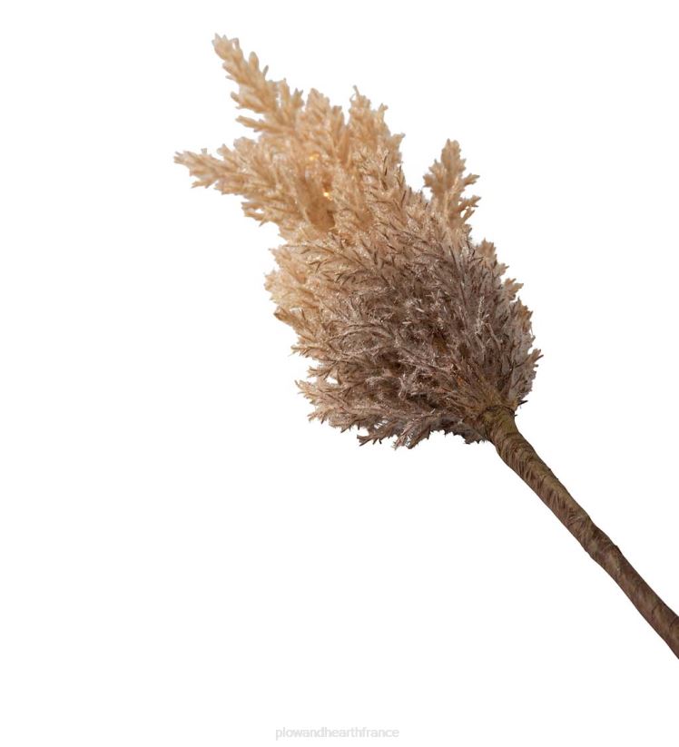 Plow & Hearth articles ménagers fausses branches d'herbe de pampa éclairées, ensemble de 2 - caramel 0BNZ2335