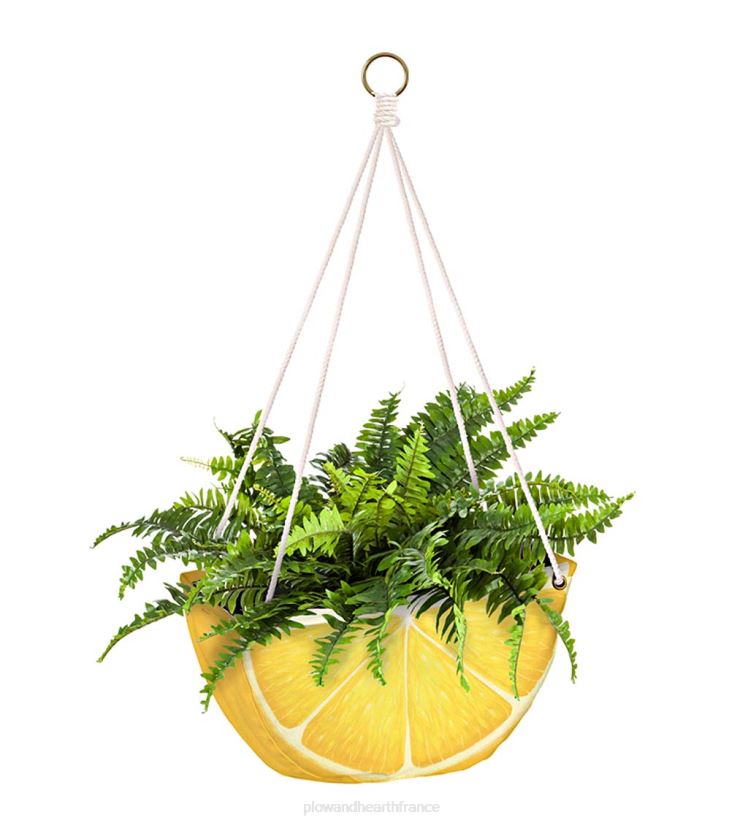 Plow & Hearth articles ménagers jardinières en tissu suspendues aux agrumes, lot de 3 0BNZ2439