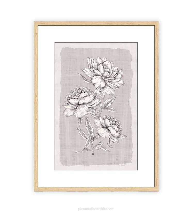 Plow & Hearth articles ménagers lin botanique ii peinture d’art mural encadrée 0BNZ2515