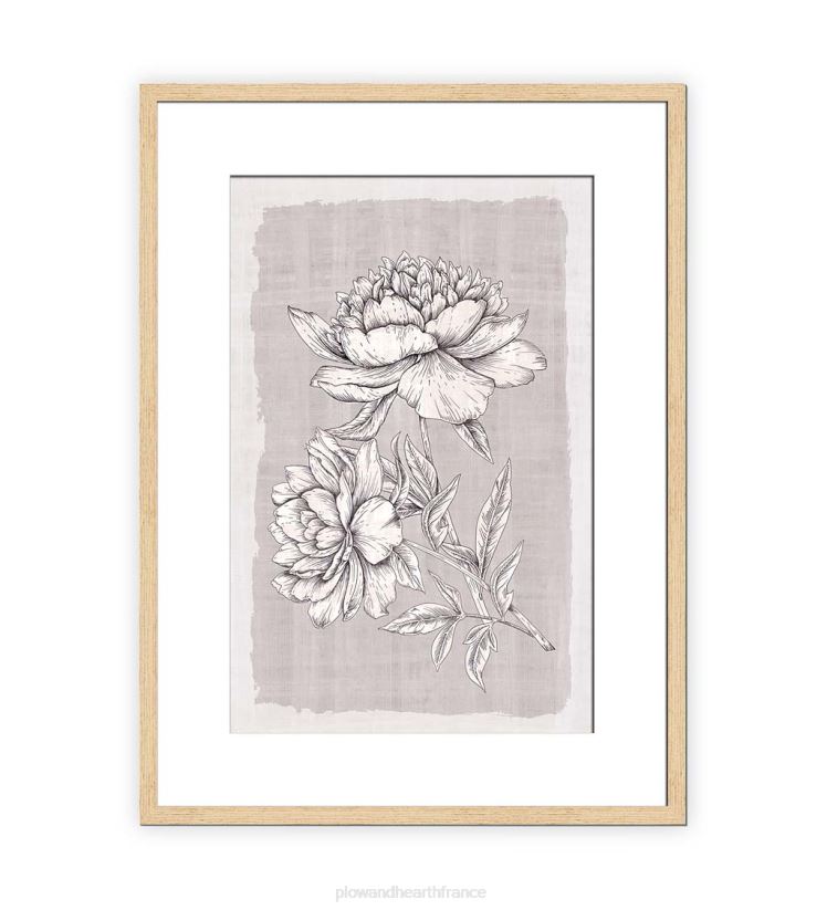 Plow & Hearth articles ménagers lin botanique j’ai encadré peinture d’art mural 0BNZ2516