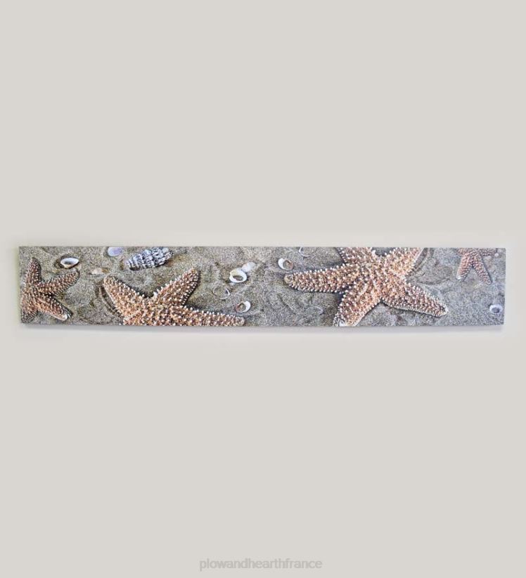 Plow & Hearth articles ménagers étoile de mer en bois de moulin art mural 0BNZ2540