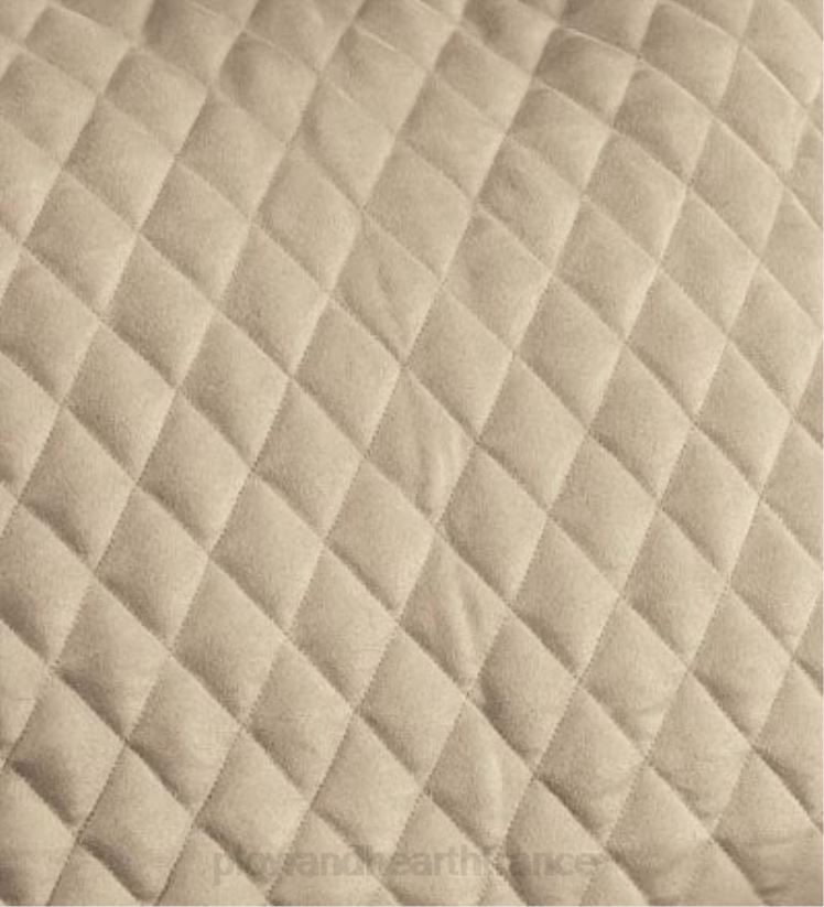 Plow & Hearth articles ménagers housses de protection pour meubles en polyester pour animaux de compagnie 0BNZ2544