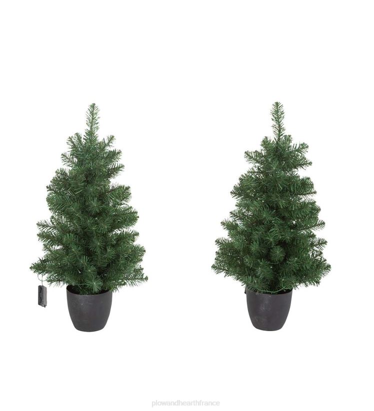 Plow & Hearth articles ménagers ensemble de décoration éclairé en pin Montfair pour porche des Fêtes dans une boîte 0BNZ1711