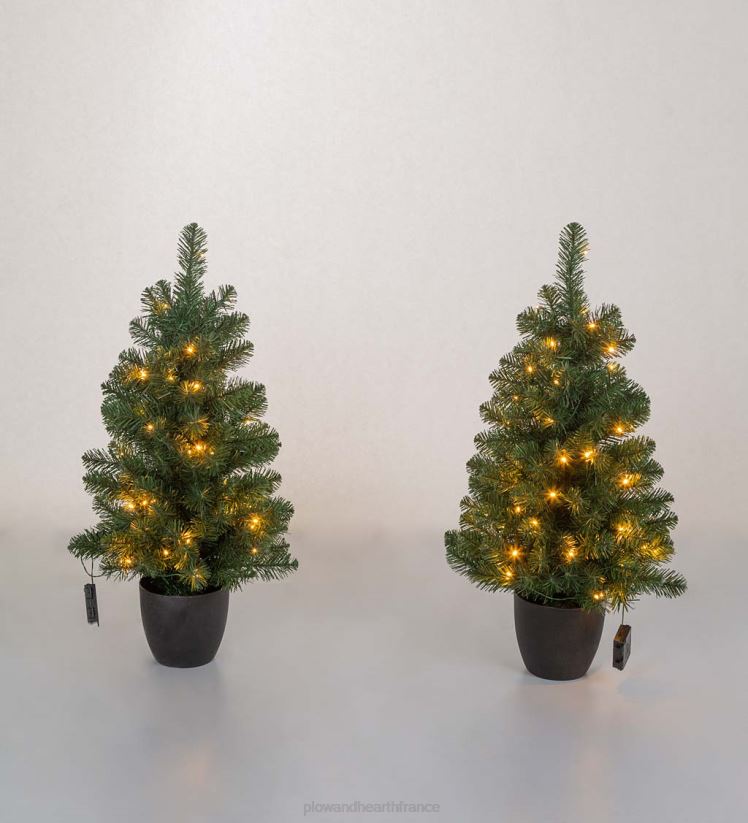 Plow & Hearth articles ménagers ensemble de décoration éclairé en pin Montfair pour porche des Fêtes dans une boîte 0BNZ1711