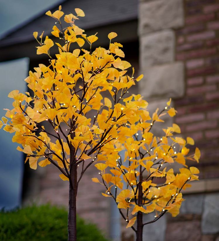 Plow & Hearth articles ménagers Arbres gingko jaunes à éclairage électrique intérieur/extérieur 0BNZ1580