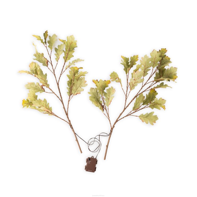 Plow & Hearth articles ménagers Branches de chêne mousse éclairées intérieur/extérieur, lot de 2 0BNZ1582