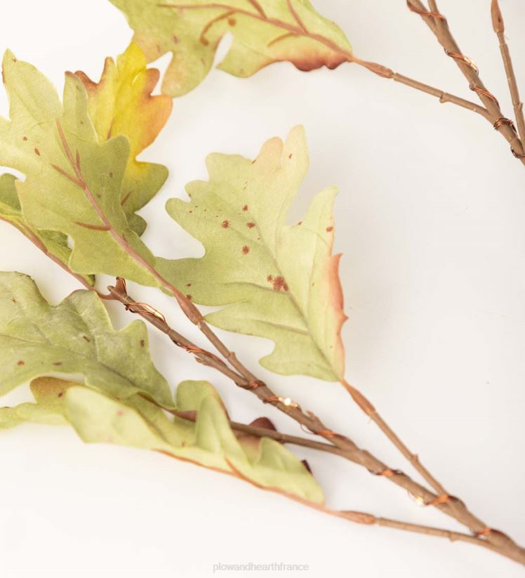 Plow & Hearth articles ménagers Branches de chêne mousse éclairées intérieur/extérieur, lot de 2 0BNZ1582