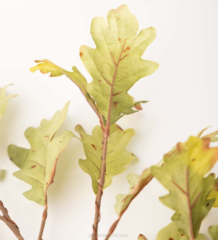 Plow & Hearth articles ménagers Branches de chêne mousse éclairées intérieur/extérieur, lot de 2 0BNZ1582