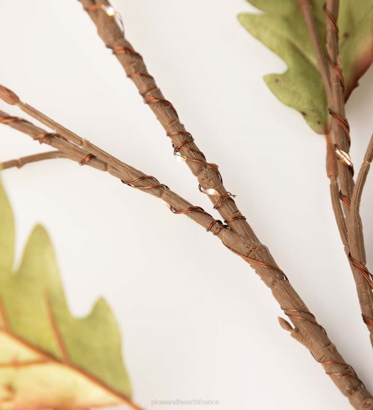 Plow & Hearth articles ménagers Branches de chêne mousse éclairées intérieur/extérieur, lot de 2 0BNZ1582