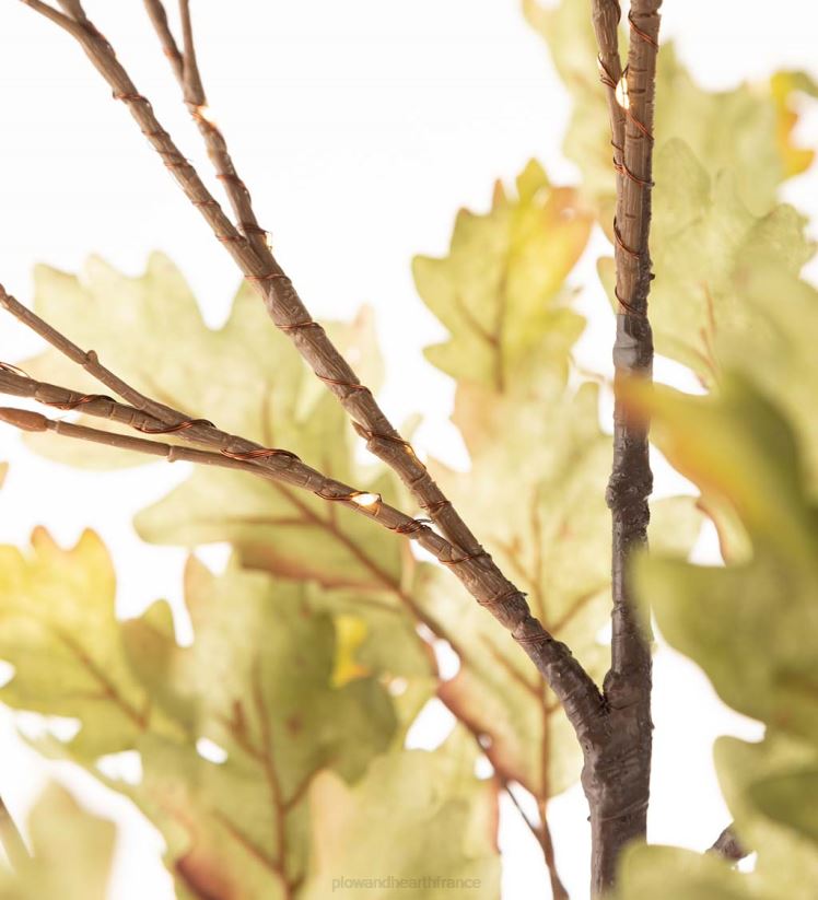 Plow & Hearth articles ménagers Chênes mousse éclairés électriquement intérieur/extérieur 0BNZ1587