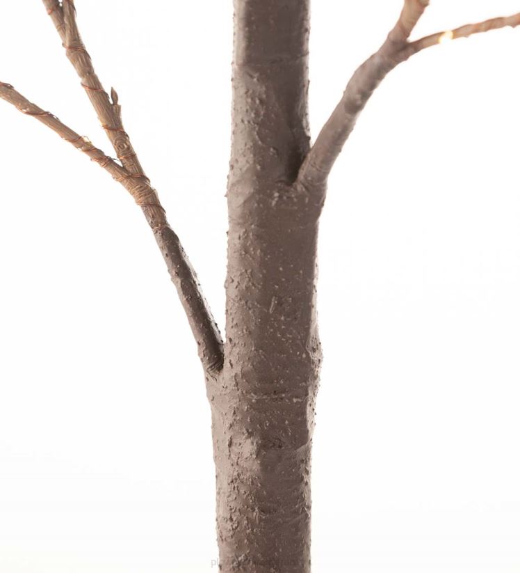 Plow & Hearth articles ménagers Chênes mousse éclairés électriquement intérieur/extérieur 0BNZ1587