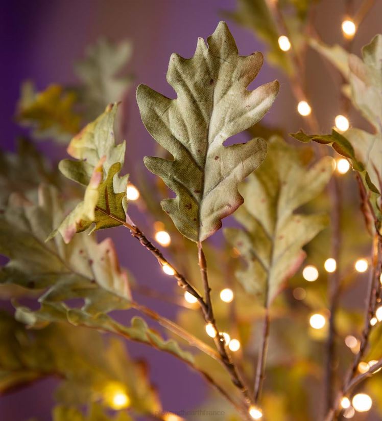 Plow & Hearth articles ménagers Chênes mousse éclairés électriquement intérieur/extérieur 0BNZ1587