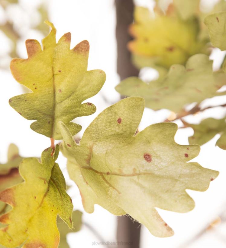 Plow & Hearth articles ménagers Chênes mousse éclairés électriquement intérieur/extérieur 0BNZ1587