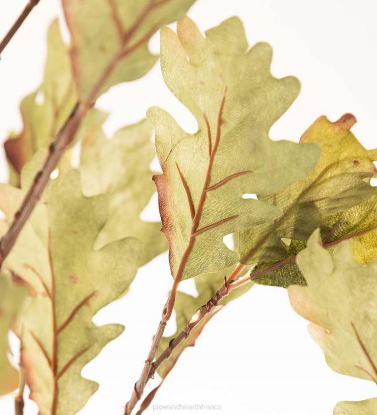 Plow & Hearth articles ménagers Chênes mousse éclairés électriquement intérieur/extérieur 0BNZ1587