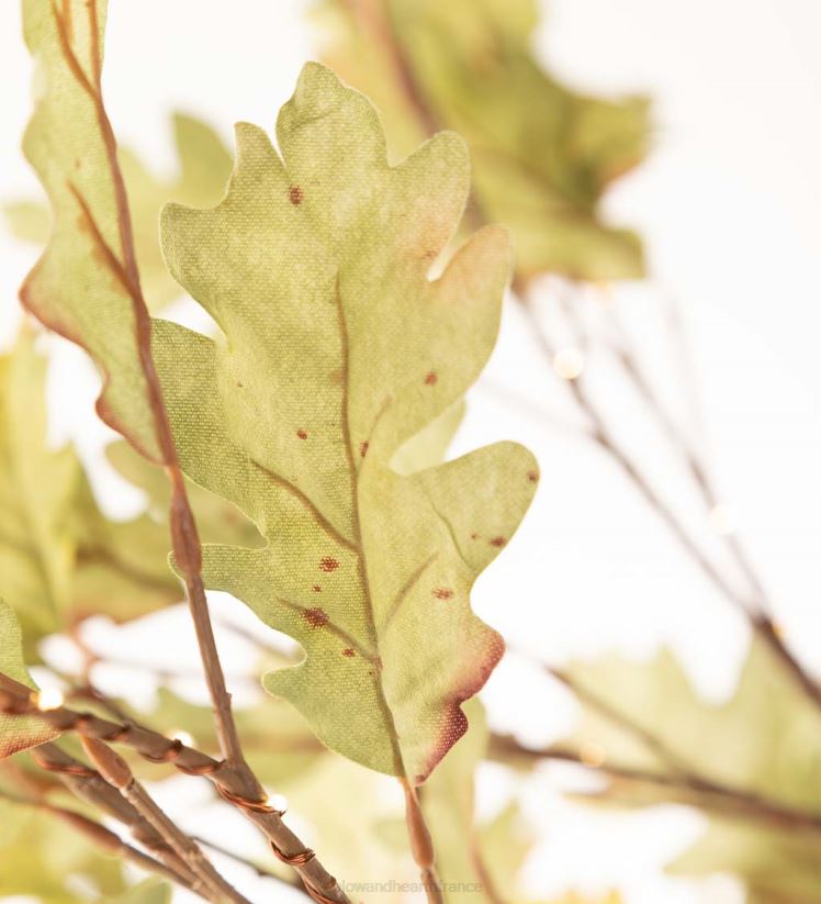 Plow & Hearth articles ménagers Chênes mousse éclairés électriquement intérieur/extérieur 0BNZ1587