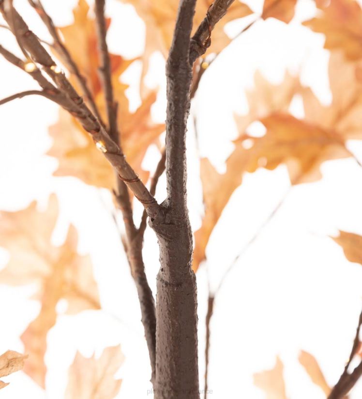 Plow & Hearth articles ménagers Chênes rouillés à éclairage électrique intérieur/extérieur 0BNZ1586