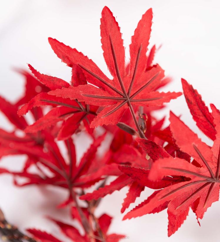 Plow & Hearth articles ménagers Guirlande de feuilles d'érable japonaise éclairée intérieur/extérieur avec 70 lumières 0BNZ1546