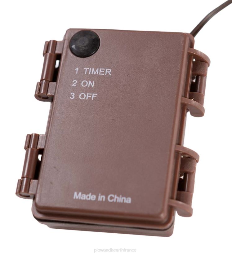 Plow & Hearth articles ménagers Guirlande de feuilles d'érable japonaise éclairée intérieur/extérieur avec 70 lumières 0BNZ1546