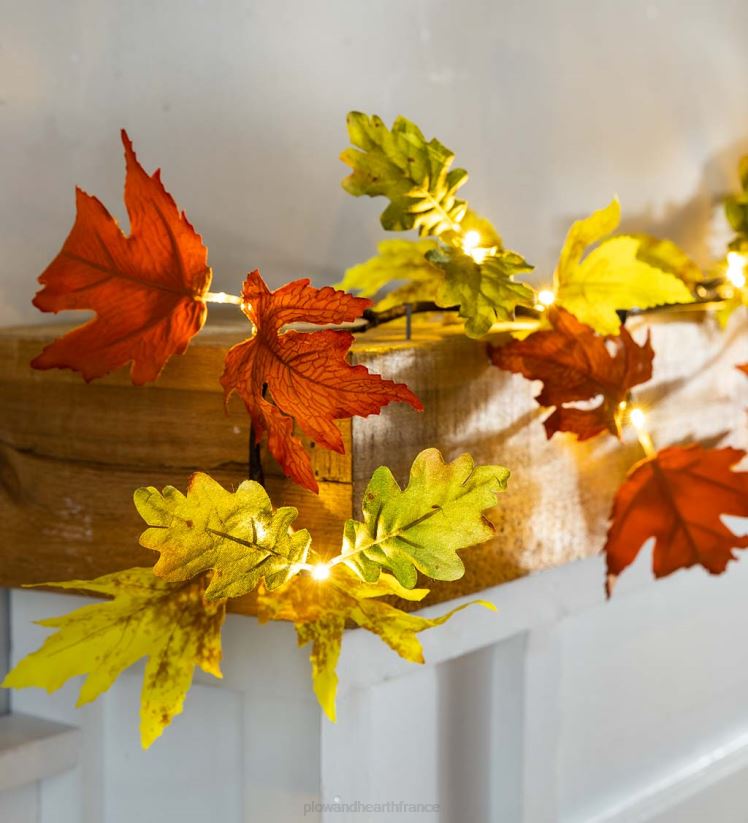 Plow & Hearth articles ménagers Guirlande de feuilles de chêne mixtes éclairée intérieur/extérieur 0BNZ1581