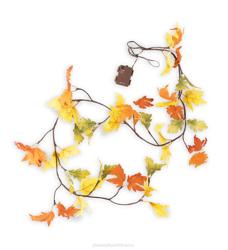 Plow & Hearth articles ménagers Guirlande de feuilles de chêne mixtes éclairée intérieur/extérieur 0BNZ1581