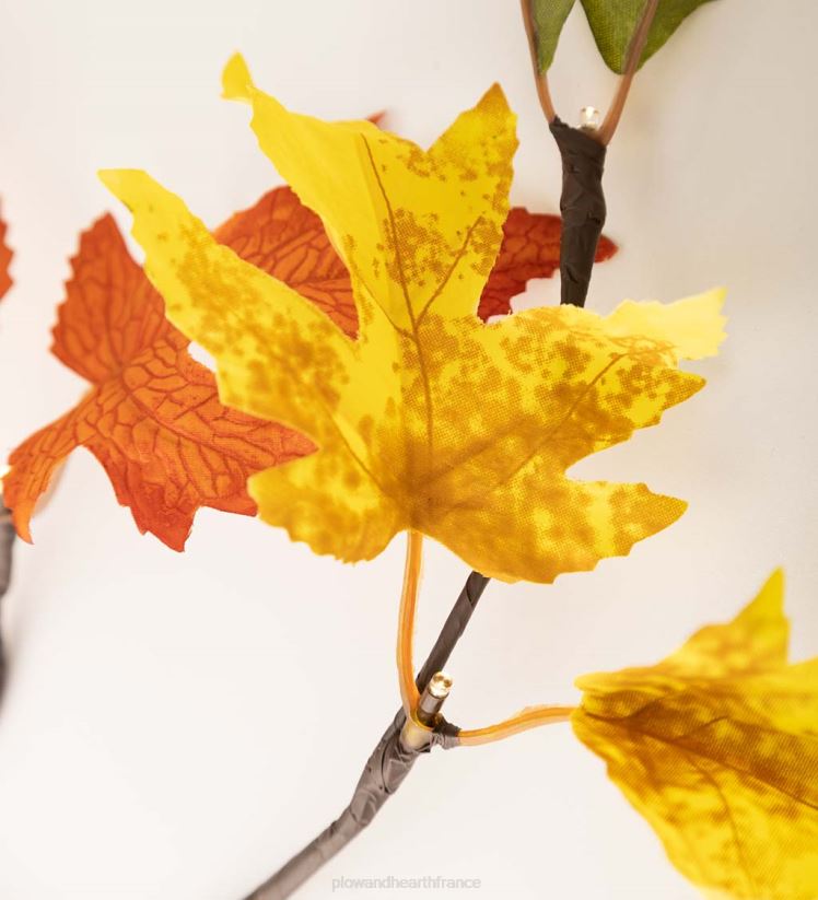 Plow & Hearth articles ménagers Guirlande de feuilles de chêne mixtes éclairée intérieur/extérieur 0BNZ1581