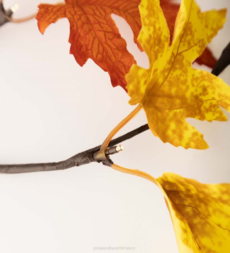 Plow & Hearth articles ménagers Guirlande de feuilles de chêne mixtes éclairée intérieur/extérieur 0BNZ1581