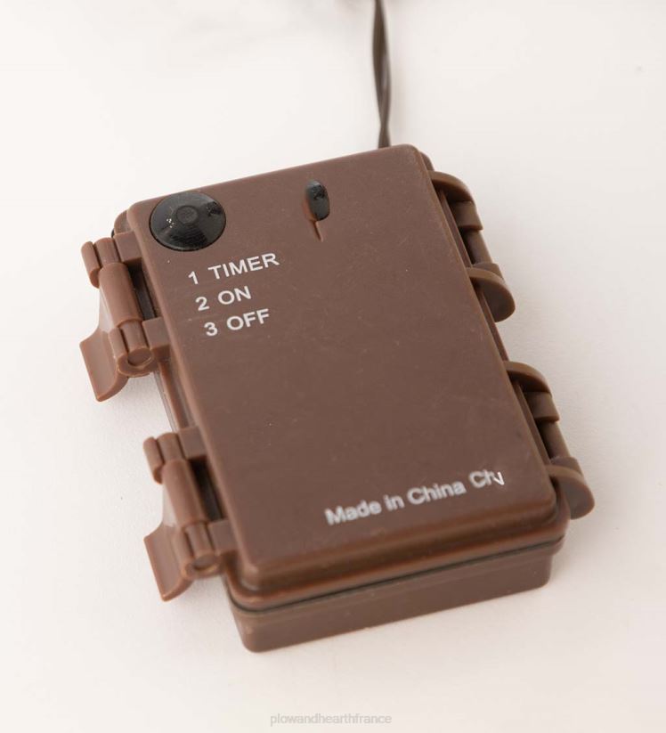 Plow & Hearth articles ménagers Guirlande de feuilles de chêne mixtes éclairée intérieur/extérieur 0BNZ1581