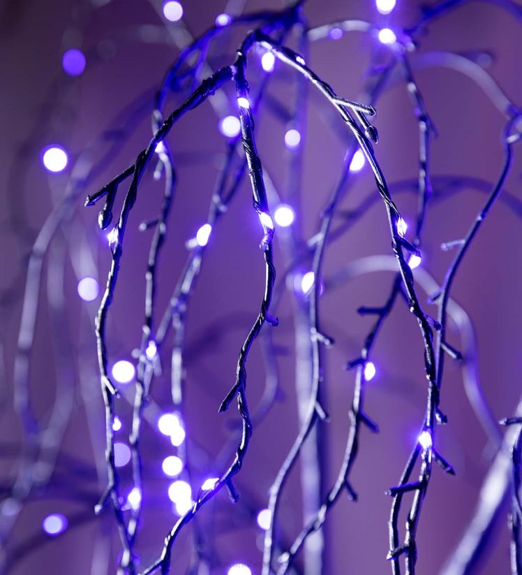 Plow & Hearth articles ménagers Saule pleureur noir éclairé électriquement pour Halloween, intérieur/extérieur, avec LED violettes 0BNZ1530