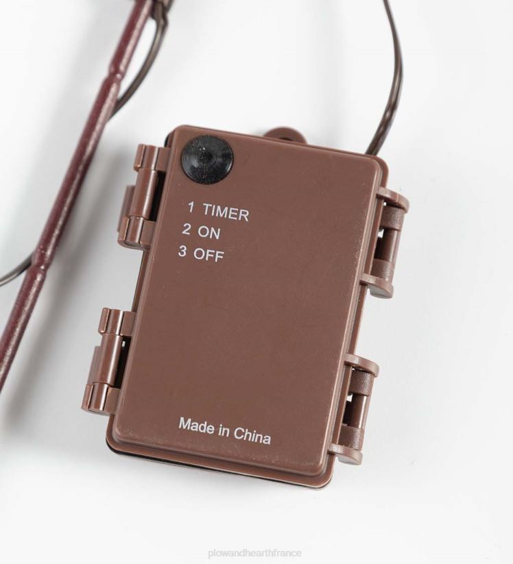 Plow & Hearth articles ménagers branches d'érable japonais éclairées intérieur/extérieur, lot de 2 0BNZ1573