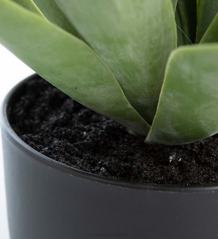 Plow & Hearth articles ménagers petite fausse vraie plante d'agave 0BNZ1565