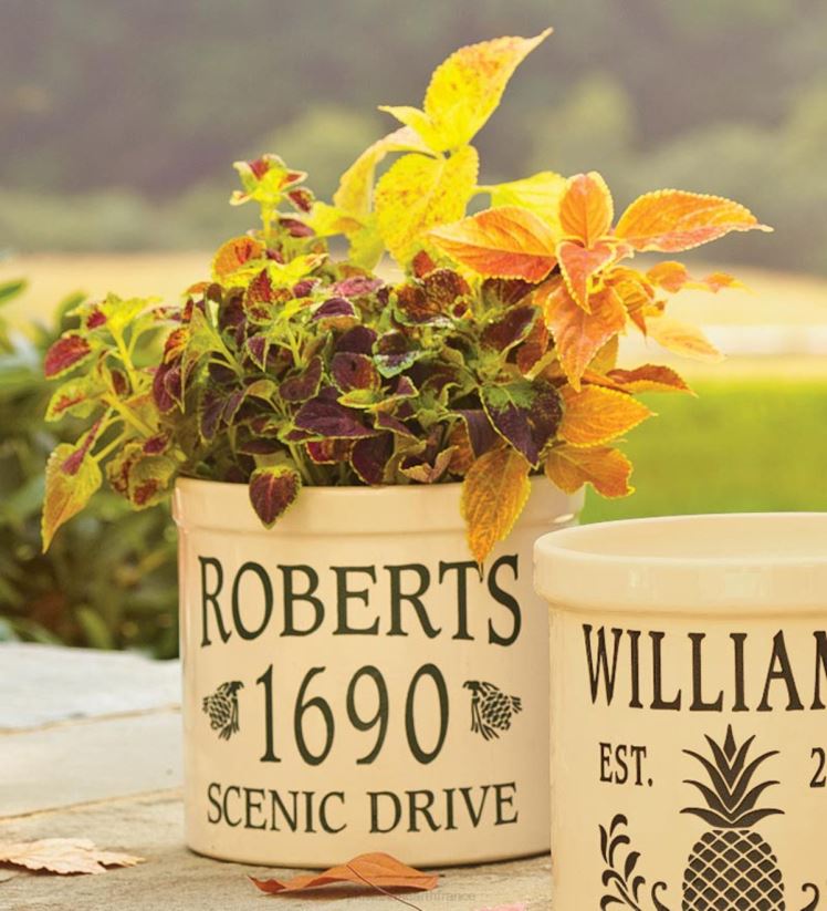 Plow & Hearth articles ménagers pot personnalisé style pomme de pin - marine 0BNZ1560