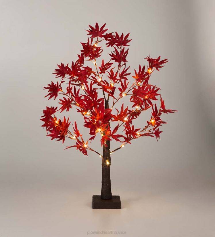 Plow & Hearth articles ménagers Érable japonais de table éclairé intérieur/extérieur avec 40 lumières 0BNZ1575