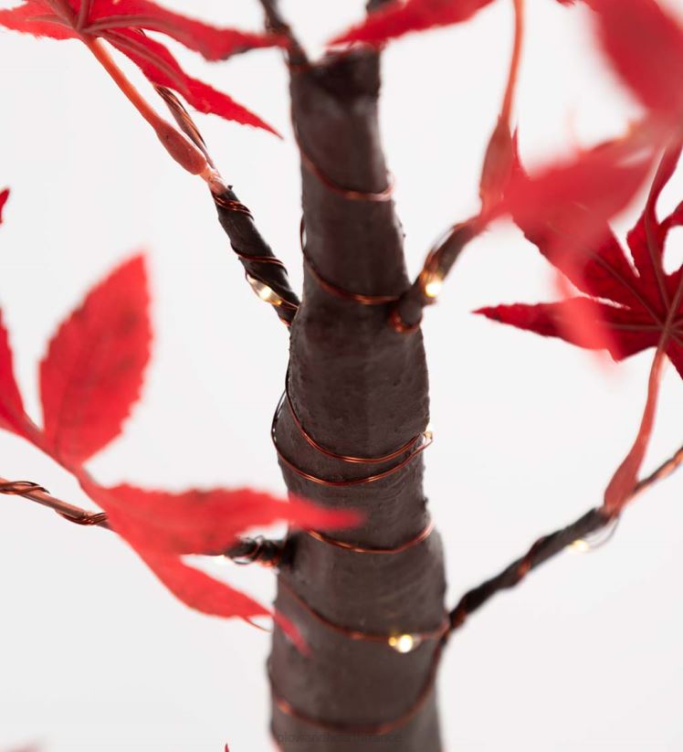 Plow & Hearth articles ménagers Érable japonais de table éclairé intérieur/extérieur avec 40 lumières 0BNZ1575