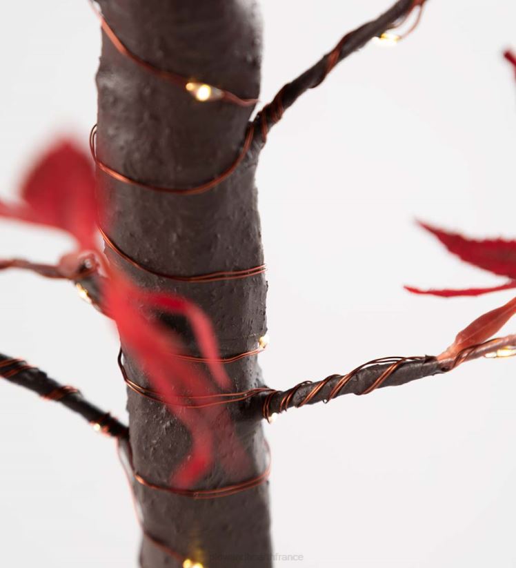 Plow & Hearth articles ménagers Érable japonais de table éclairé intérieur/extérieur avec 40 lumières 0BNZ1575