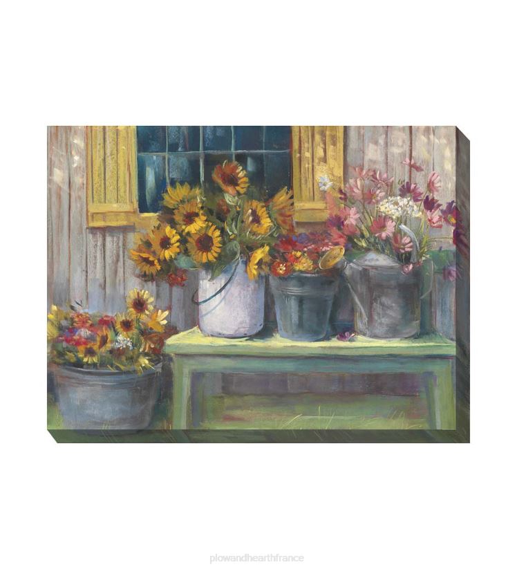 Plow & Hearth articles ménagers seaux de bonheur, art mural sur toile intérieur/extérieur 0BNZ1548