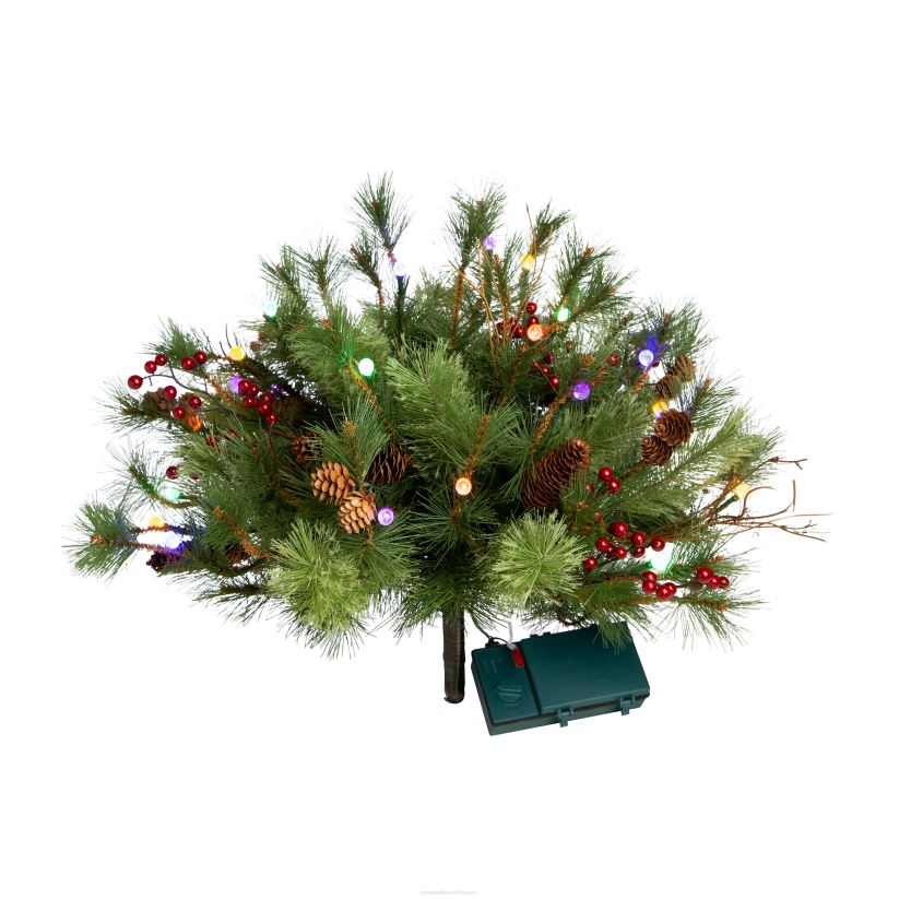 Plow & Hearth articles ménagers verdure intérieure/extérieure à crête bleue avec lumières à double fonction fonctionnant sur piles 0BNZ1479