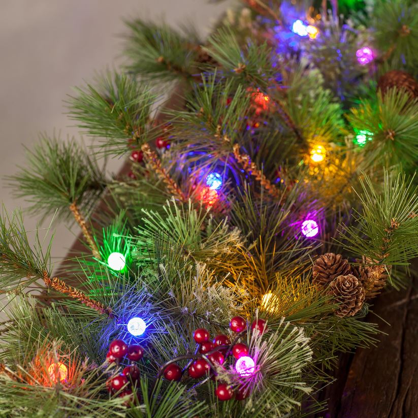 Plow & Hearth articles ménagers verdure intérieure/extérieure à crête bleue avec lumières à double fonction fonctionnant sur piles 0BNZ1479