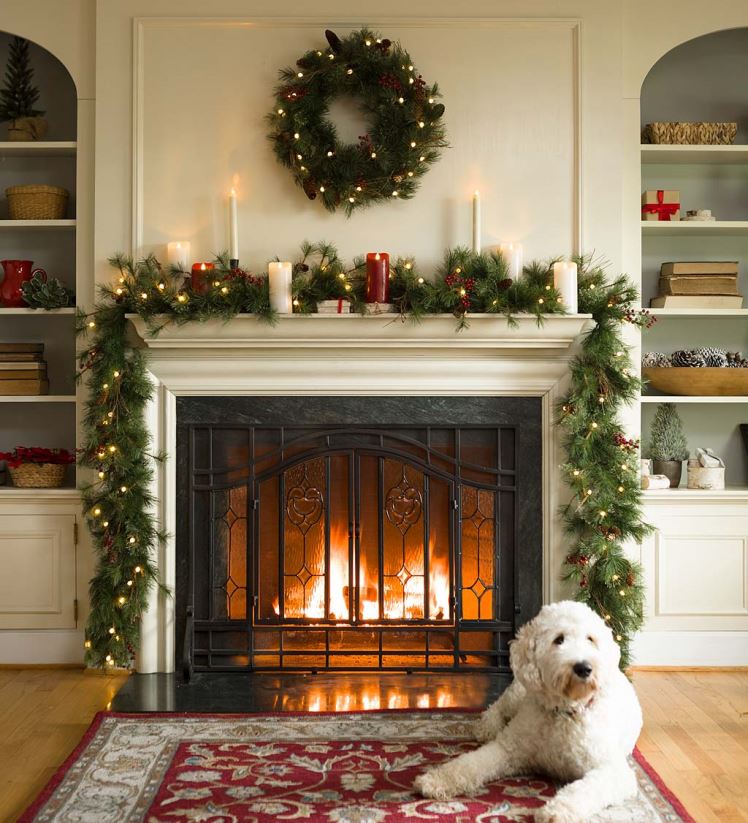 Plow & Hearth articles ménagers verdure intérieure/extérieure à crête bleue avec lumières à double fonction fonctionnant sur piles 0BNZ1479