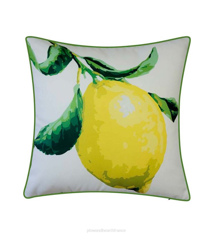 Plow & Hearth articles ménagers citron du jardin botanique de new york coussin 0BNZ1262