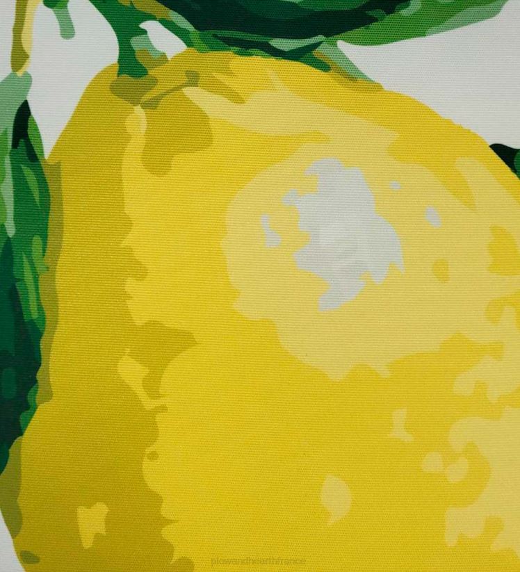 Plow & Hearth articles ménagers citron du jardin botanique de new york coussin 0BNZ1262